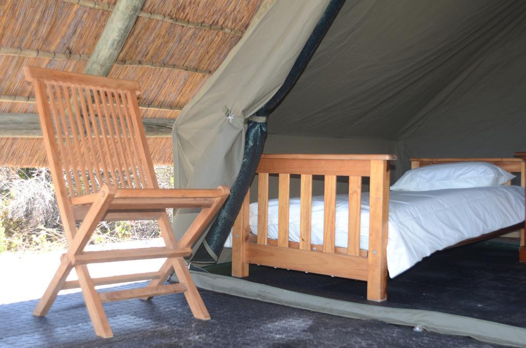 West Coast Luxury Tents Dwarskersbos Eksteriør bilde