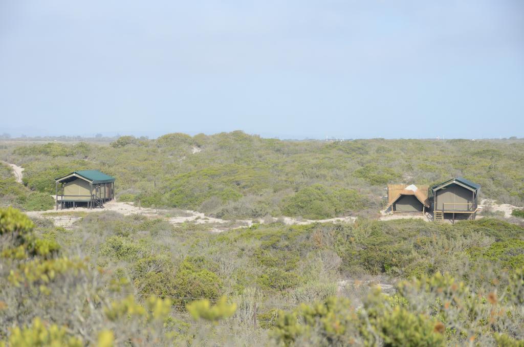 West Coast Luxury Tents Dwarskersbos Eksteriør bilde