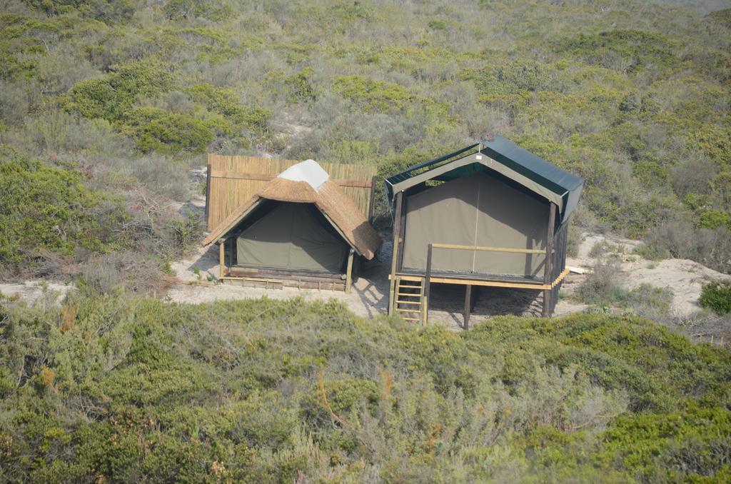 West Coast Luxury Tents Dwarskersbos Eksteriør bilde