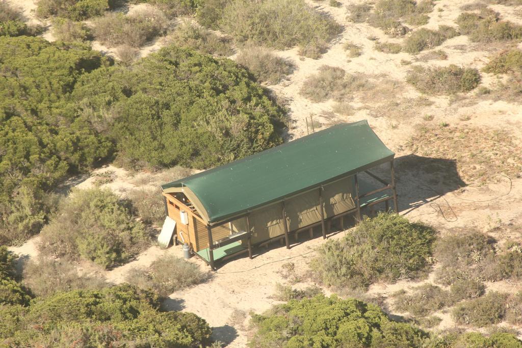 West Coast Luxury Tents Dwarskersbos Eksteriør bilde