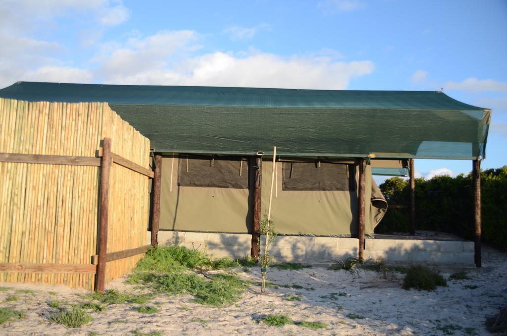 West Coast Luxury Tents Dwarskersbos Eksteriør bilde